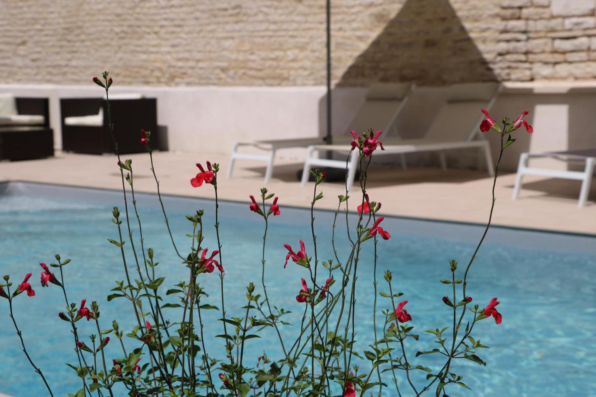 La Villa Lombardi En Champagne, Avec Piscine Privee Et Jacuzzi Les Riceys Exteriör bild